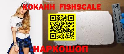 индика Нальчик