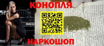 индика Нальчик
