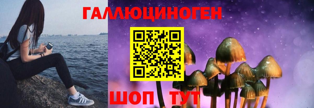 Псилоцибиновые грибы MAGIC MUSHROOMS  Вход с VPN  закладки  Строитель 